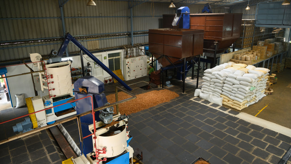 Extraction area